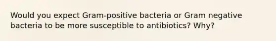 Would you expect Gram-positive bacteria or Gram negative bacteria to be more susceptible to antibiotics? Why?