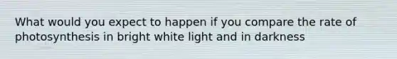 What would you expect to happen if you compare the rate of photosynthesis in bright white light and in darkness