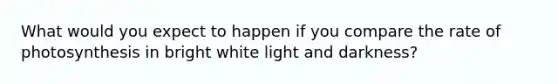 What would you expect to happen if you compare the rate of photosynthesis in bright white light and darkness?