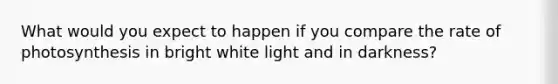 What would you expect to happen if you compare the rate of photosynthesis in bright white light and in darkness?