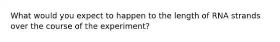 What would you expect to happen to the length of RNA strands over the course of the experiment?