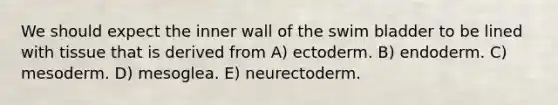 We should expect the inner wall of the swim bladder to be lined with tissue that is derived from A) ectoderm. B) endoderm. C) mesoderm. D) mesoglea. E) neurectoderm.