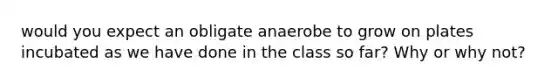 would you expect an obligate anaerobe to grow on plates incubated as we have done in the class so far? Why or why not?