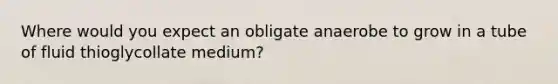 Where would you expect an obligate anaerobe to grow in a tube of fluid thioglycollate medium?