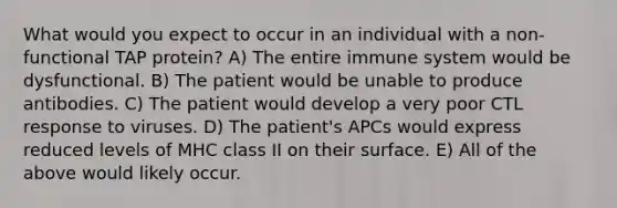 What would you expect to occur in an individual with a non-functional TAP protein? A) The entire immune system would be dysfunctional. B) The patient would be unable to produce antibodies. C) The patient would develop a very poor CTL response to viruses. D) The patient's APCs would express reduced levels of MHC class II on their surface. E) All of the above would likely occur.