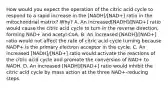 How would you expect the operation of the citric acid cycle to respond to a rapid increase in the [NADH]/[NAD+] ratio in the mitochondrial matrix? Why? A. An increased[NADH]/[NAD+] ratio would cause the citric acid cycle to turn in the reverse direction, forming NAD+ and acetyl‑CoA. B. An increased [NADH]/[NAD+] ratio would not affect the rate of citric acid cycle turning because NADP+ is the primary electron acceptor in the cycle. C. An increased [NADH]/[NAD+] ratio would activate the reactions of the citric acid cycle and promote the conversion of NAD+ to NADH. D. An increased [NADH]/[NAD+] ratio would inhibit the citric acid cycle by mass action at the three NAD+‑reducing steps.