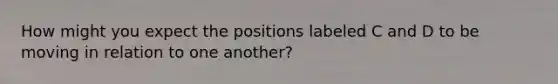 How might you expect the positions labeled C and D to be moving in relation to one another?