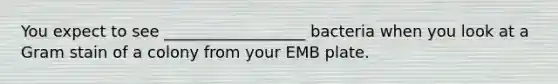 You expect to see __________________ bacteria when you look at a Gram stain of a colony from your EMB plate.