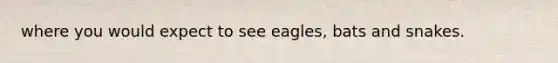 where you would expect to see eagles, bats and snakes.