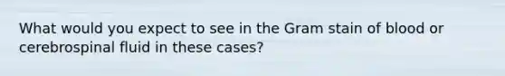 What would you expect to see in the Gram stain of blood or cerebrospinal fluid in these cases?