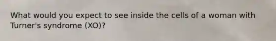 What would you expect to see inside the cells of a woman with Turner's syndrome (XO)?