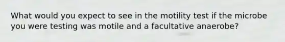 What would you expect to see in the motility test if the microbe you were testing was motile and a facultative anaerobe?