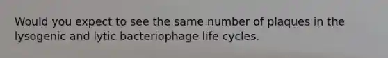 Would you expect to see the same number of plaques in the lysogenic and lytic bacteriophage life cycles.