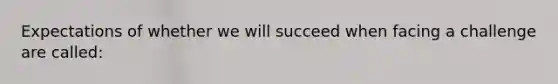 Expectations of whether we will succeed when facing a challenge are called: