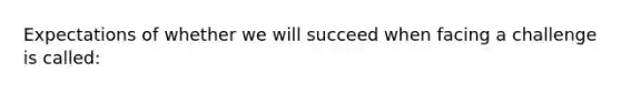 Expectations of whether we will succeed when facing a challenge is called: