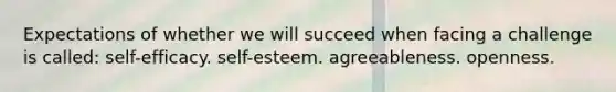 Expectations of whether we will succeed when facing a challenge is called: self-efficacy. self-esteem. agreeableness. openness.