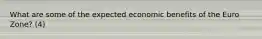 What are some of the expected economic benefits of the Euro Zone? (4)