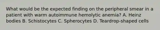 What would be the expected finding on the peripheral smear in a patient with warm autoimmune hemolytic anemia? A. Heinz bodies B. Schistocytes C. Spherocytes D. Teardrop-shaped cells