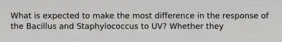 What is expected to make the most difference in the response of the Bacillus and Staphylococcus to UV? Whether they