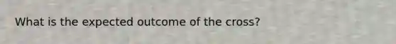 What is the expected outcome of the cross?