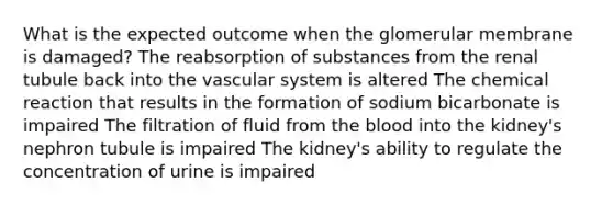 What is the expected outcome when the glomerular membrane is damaged? The reabsorption of substances from the renal tubule back into the vascular system is altered The chemical reaction that results in the formation of sodium bicarbonate is impaired The filtration of fluid from the blood into the kidney's nephron tubule is impaired The kidney's ability to regulate the concentration of urine is impaired