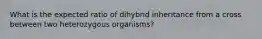 What is the expected ratio of dihybrid inheritance from a cross between two heterozygous organisms?