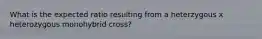 What is the expected ratio resulting from a heterzygous x heterozygous monohybrid cross?