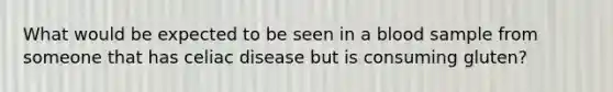 What would be expected to be seen in a blood sample from someone that has celiac disease but is consuming gluten?