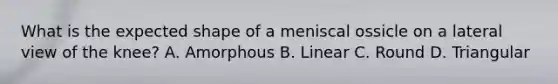What is the expected shape of a meniscal ossicle on a lateral view of the knee? A. Amorphous B. Linear C. Round D. Triangular
