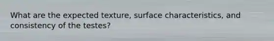 What are the expected texture, surface characteristics, and consistency of the testes?