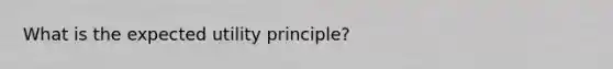 What is the expected utility principle?