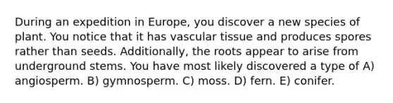 During an expedition in Europe, you discover a new species of plant. You notice that it has <a href='https://www.questionai.com/knowledge/k1HVFq17mo-vascular-tissue' class='anchor-knowledge'>vascular tissue</a> and produces spores rather than seeds. Additionally, the roots appear to arise from underground stems. You have most likely discovered a type of A) angiosperm. B) gymnosperm. C) moss. D) fern. E) conifer.