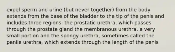 expel sperm and urine (but never together) from the body extends from the base of the bladder to the tip of the penis and includes three regions: the prostatic urethra, which passes through the prostate gland the membranous urethra, a very small portion and the spongy urethra, sometimes called the penile urethra, which extends through the length of the penis