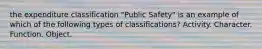 the expenditure classification "Public Safety" is an example of which of the following types of classifications? Activity. Character. Function. Object.