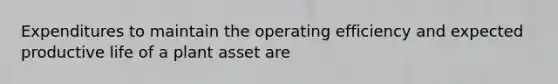 Expenditures to maintain the operating efficiency and expected productive life of a plant asset are