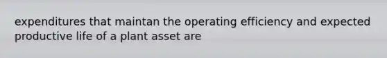 expenditures that maintan the operating efficiency and expected productive life of a plant asset are