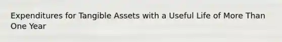 Expenditures for Tangible Assets with a Useful Life of More Than One Year