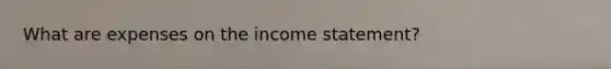 What are expenses on the income statement?