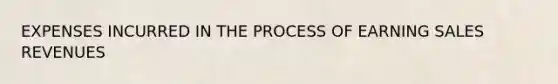 EXPENSES INCURRED IN THE PROCESS OF EARNING SALES REVENUES