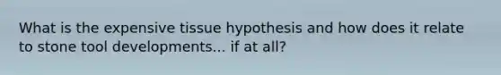 What is the expensive tissue hypothesis and how does it relate to stone tool developments... if at all?