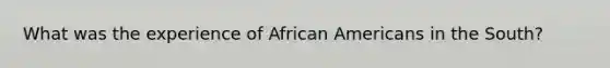 What was the experience of African Americans in the South?