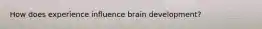 How does experience influence brain development?