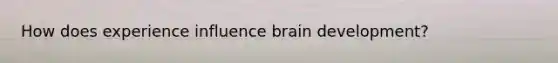 How does experience influence brain development?