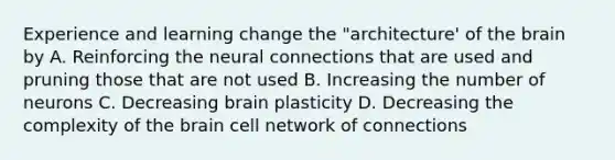 Experience and learning change the "architecture' of the brain by A. Reinforcing the neural connections that are used and pruning those that are not used B. Increasing the number of neurons C. Decreasing brain plasticity D. Decreasing the complexity of the brain cell network of connections