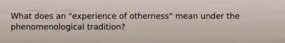 What does an "experience of otherness" mean under the phenomenological tradition?