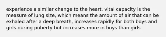 experience a similar change to the heart. vital capacity is the measure of lung size, which means the amount of air that can be exhaled after a deep breath, increases rapidly for both boys and girls during puberty but increases more in boys than girls