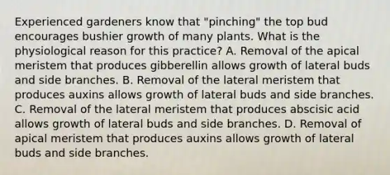 Experienced gardeners know that "pinching" the top bud encourages bushier growth of many plants. What is the physiological reason for this practice? A. Removal of the apical meristem that produces gibberellin allows growth of lateral buds and side branches. B. Removal of the lateral meristem that produces auxins allows growth of lateral buds and side branches. C. Removal of the lateral meristem that produces abscisic acid allows growth of lateral buds and side branches. D. Removal of apical meristem that produces auxins allows growth of lateral buds and side branches.