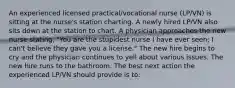 An experienced licensed practical/vocational nurse (LP/VN) is sitting at the nurse's station charting. A newly hired LP/VN also sits down at the station to chart. A physician approaches the new nurse stating, "You are the stupidest nurse I have ever seen; I can't believe they gave you a license." The new hire begins to cry and the physician continues to yell about various issues. The new hire runs to the bathroom. The best next action the experienced LP/VN should provide is to: