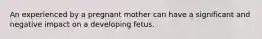 An experienced by a pregnant mother can have a significant and negative impact on a developing fetus.