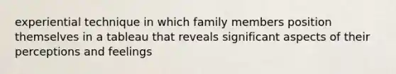 experiential technique in which family members position themselves in a tableau that reveals significant aspects of their perceptions and feelings